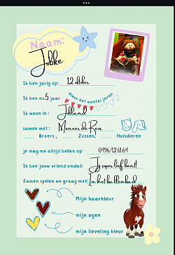 voorbeeld pagina