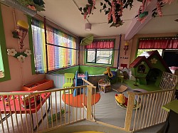 Het kleine (- 2 jaar) ballenbad - speelhoek baby’s